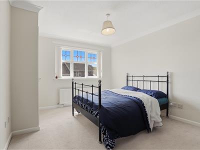 Picture 20